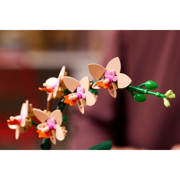 10343 LEGO Botanicals: Miniorchidee