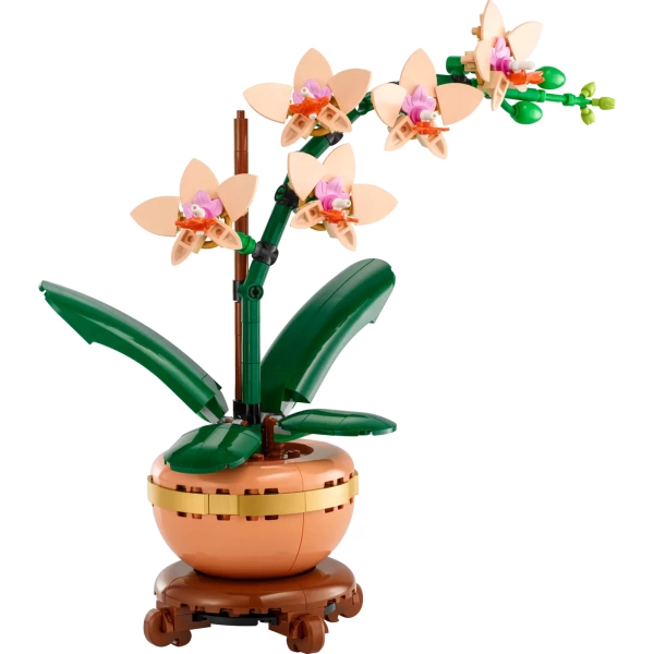 10343 LEGO Botanicals: Miniorchidee