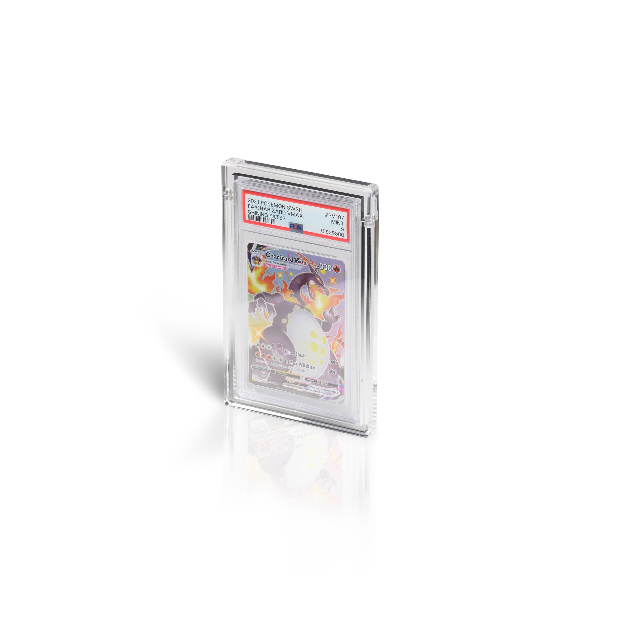 GRADED CARD DISPLAY – premium